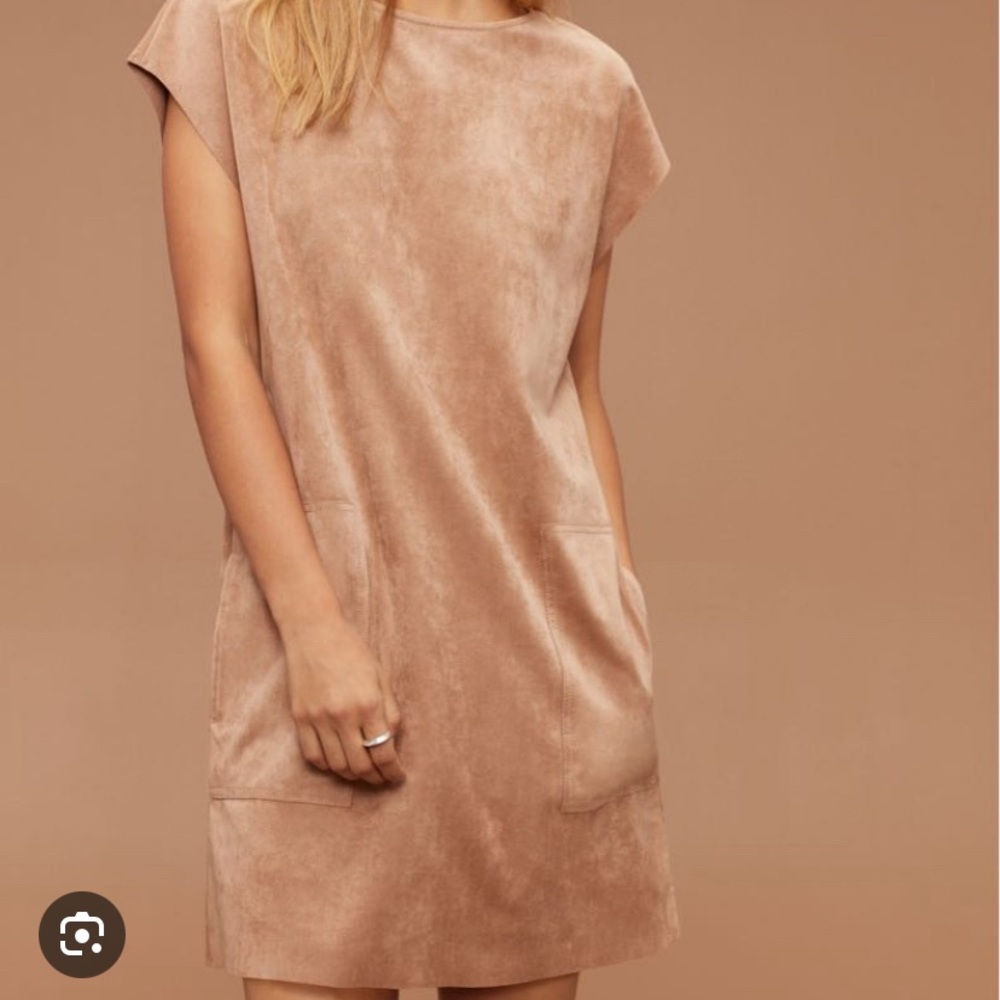 Aritzia Wilfred Free Nori Suede Dress